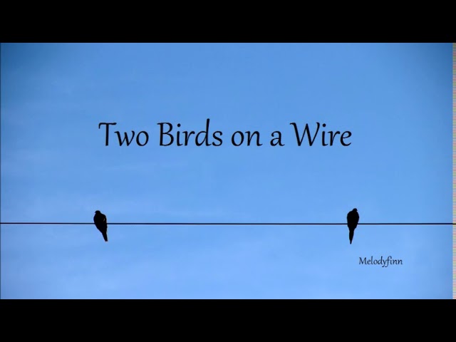 Two Birds Lyrics